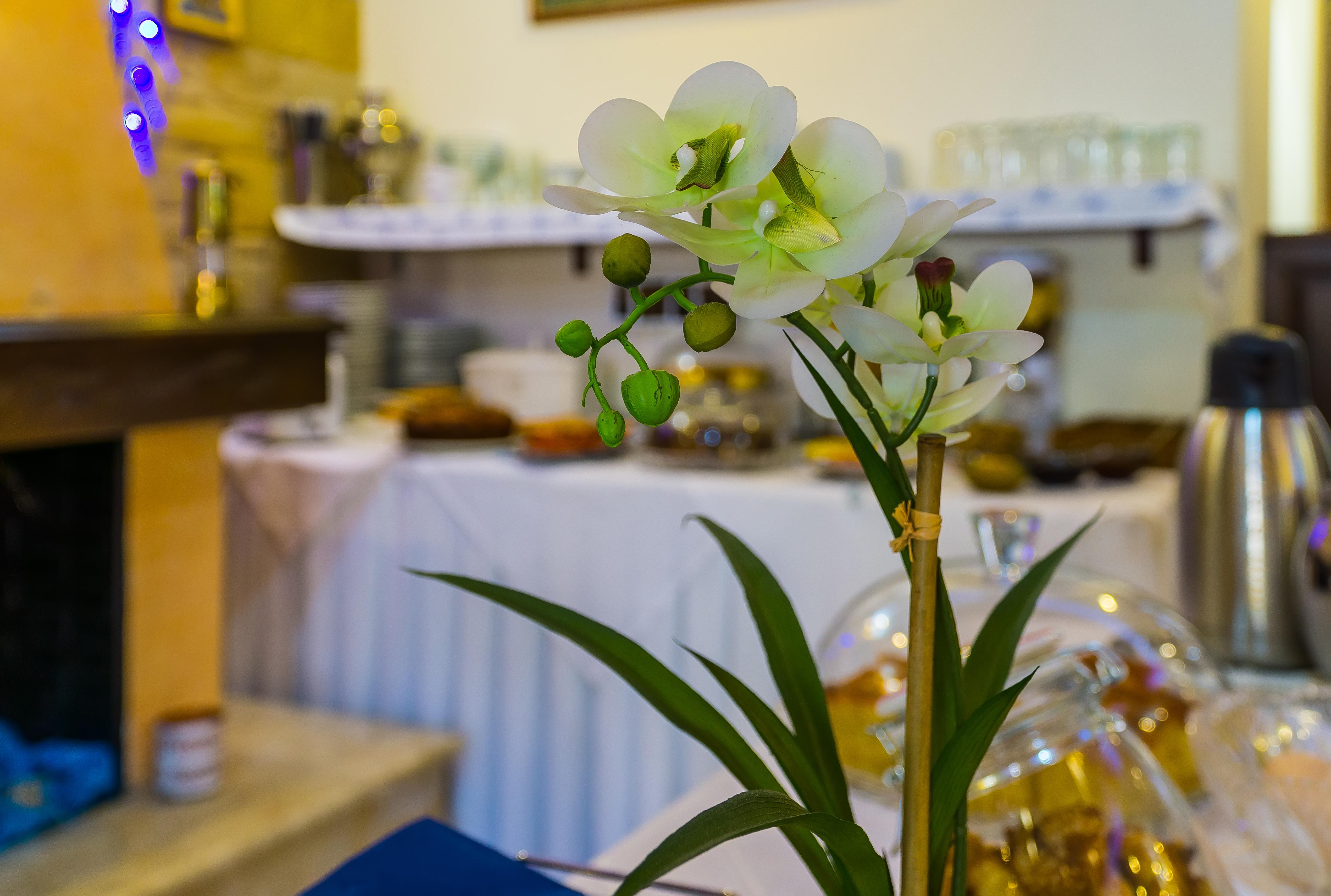 Отель "Epavlis Boutique Galaxidi" Экстерьер фото